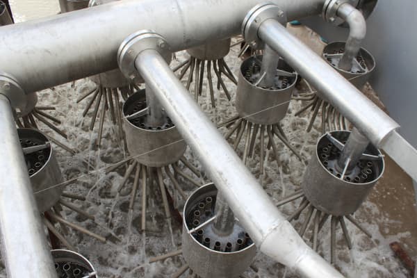 Distributor asam multi-dish4